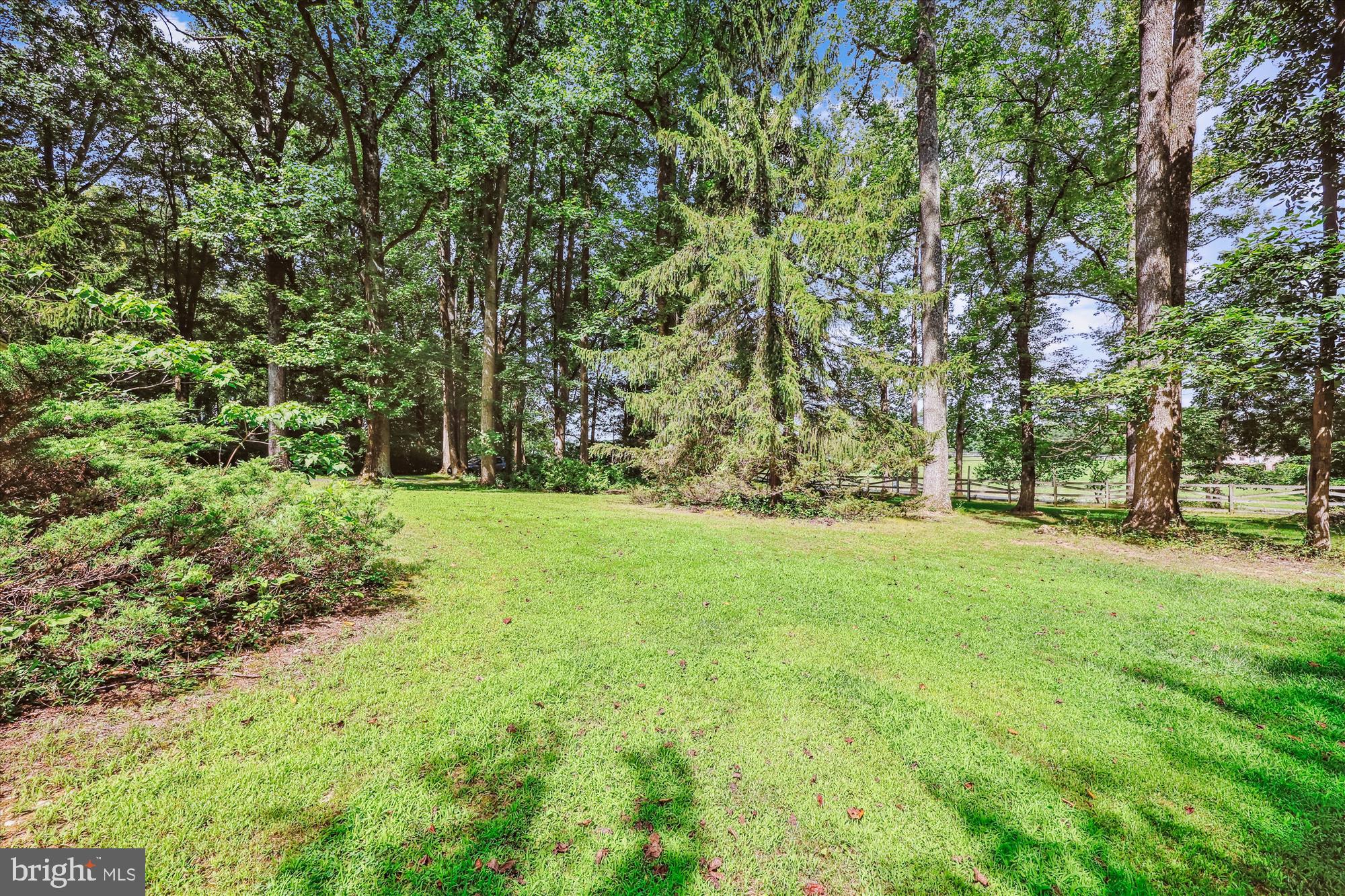 111 Ednor Road Silver Spring, MD 20905 - Photo 10 of 36 a view of yard with green space
