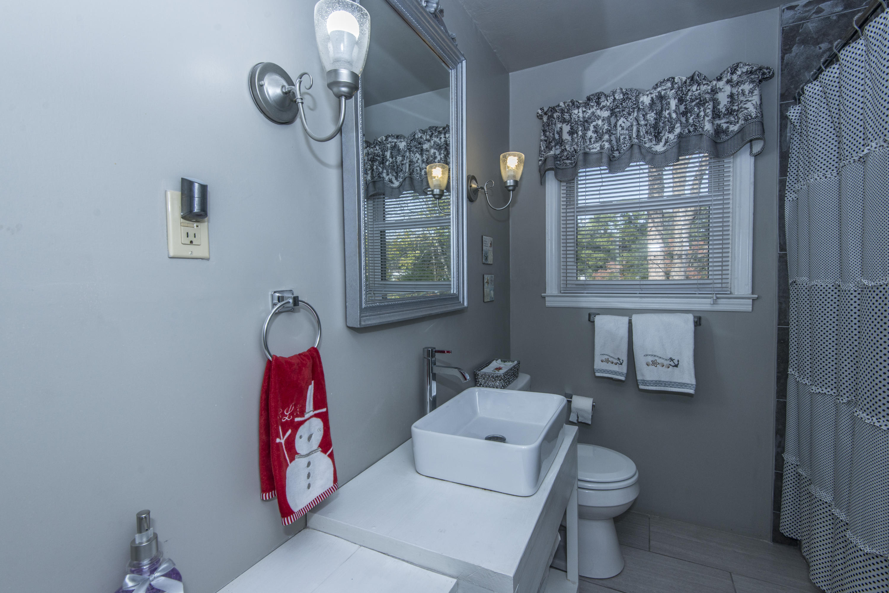 1166 Montgomery Road Charleston, SC 29412 - Photo 10 of 25 _DSC9934