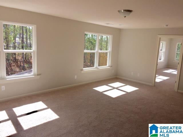 1237 Hunters Gate Drive Birmingham, AL 35242 - Photo 22 of 31