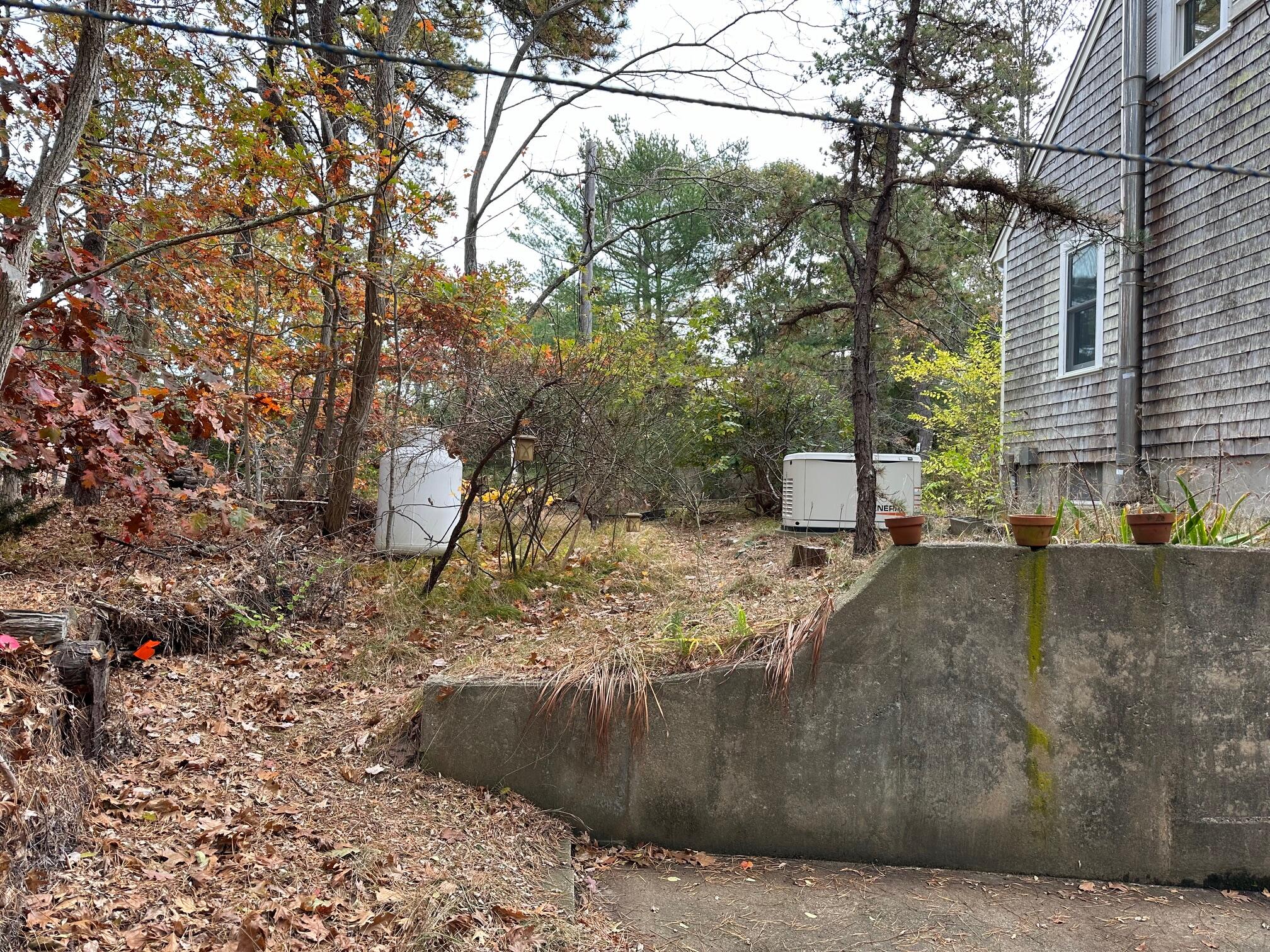 16 Warren Road Wellfleet, MA 02667 - Photo 8 of 24 a view of a yard with large tree