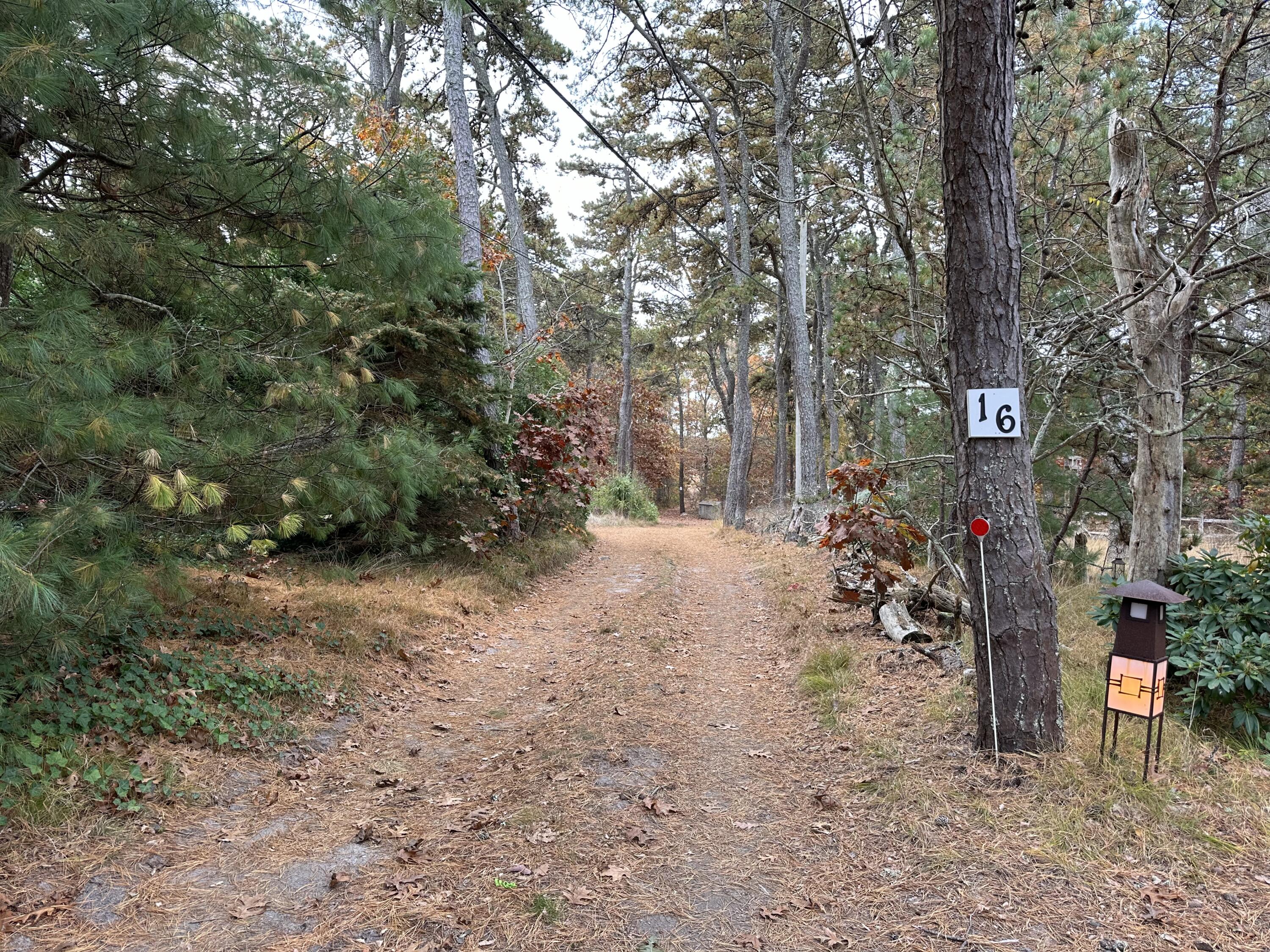 16 Warren Road Wellfleet, MA 02667 - Photo 10 of 24 a view of forest
