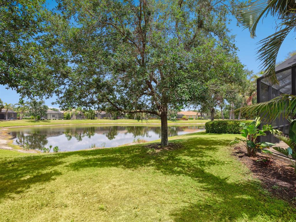 14325 Stirling Drive Lakewood Ranch, FL 34202 - Photo 36 of 53 a view of a yard with a tree