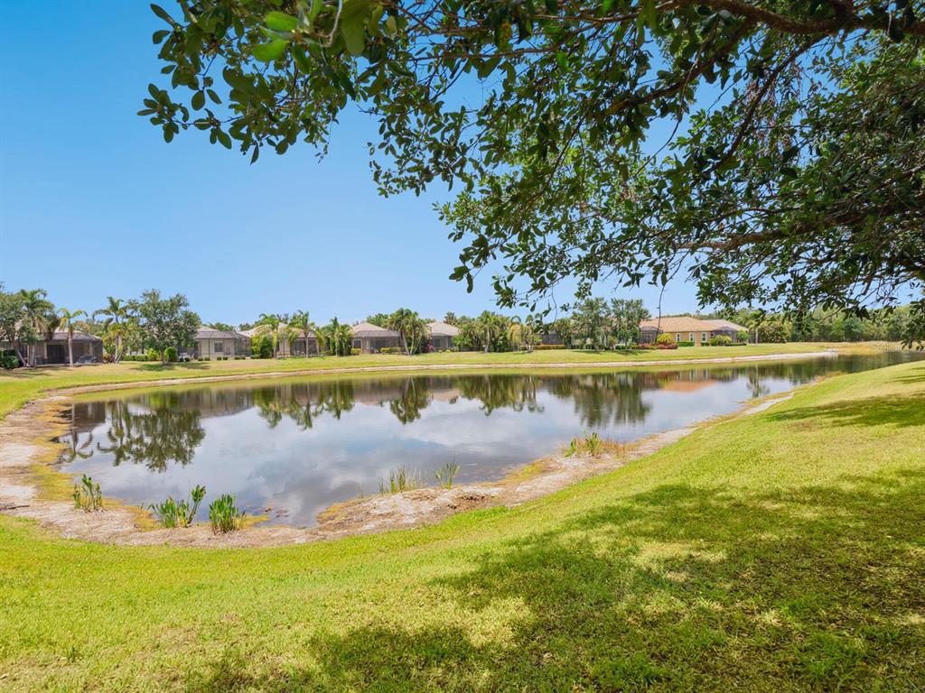 14325 Stirling Drive Lakewood Ranch, FL 34202 - Photo 37 of 53 a view of a lake with houses in the back
