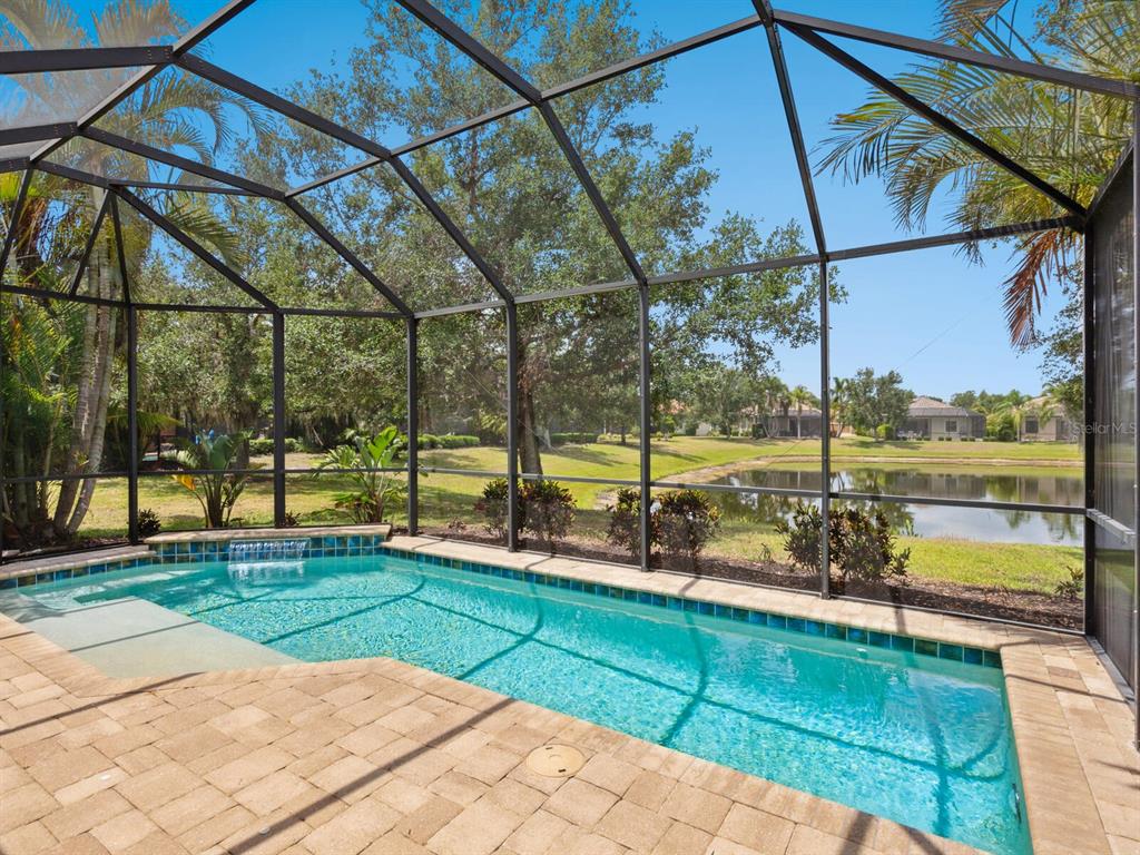 14325 Stirling Drive Lakewood Ranch, FL 34202 - Photo 6 of 53 a view of a swimming pool with a patio