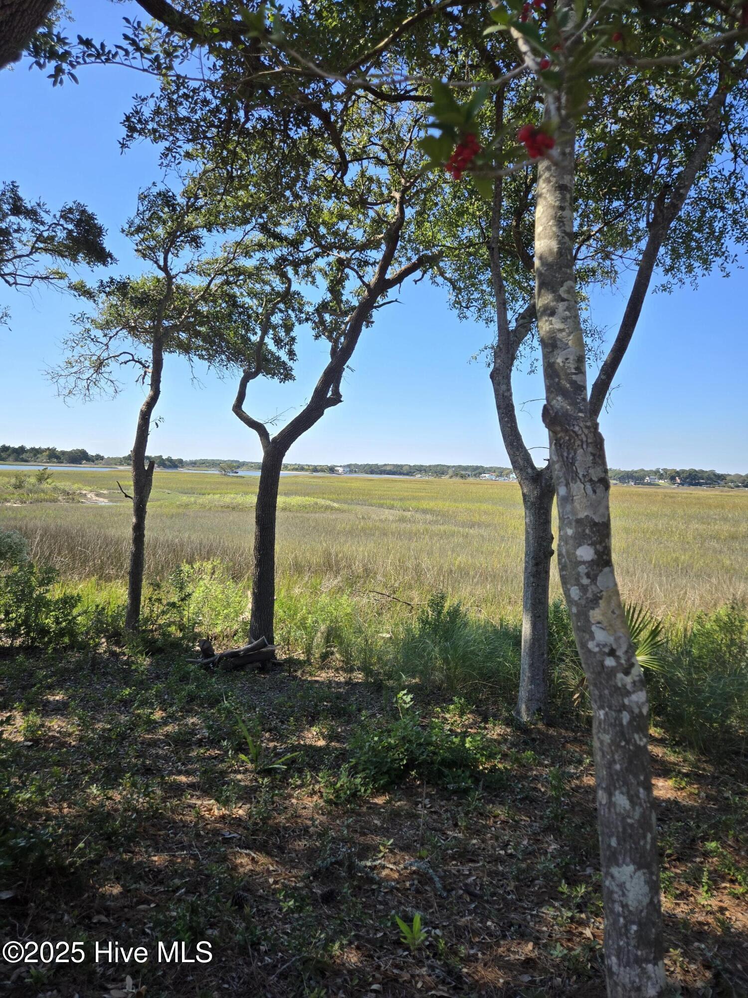 3810 Windy Point Road Southwest Supply, NC 28462 - Photo 8 of 28 View of the Marsh Left