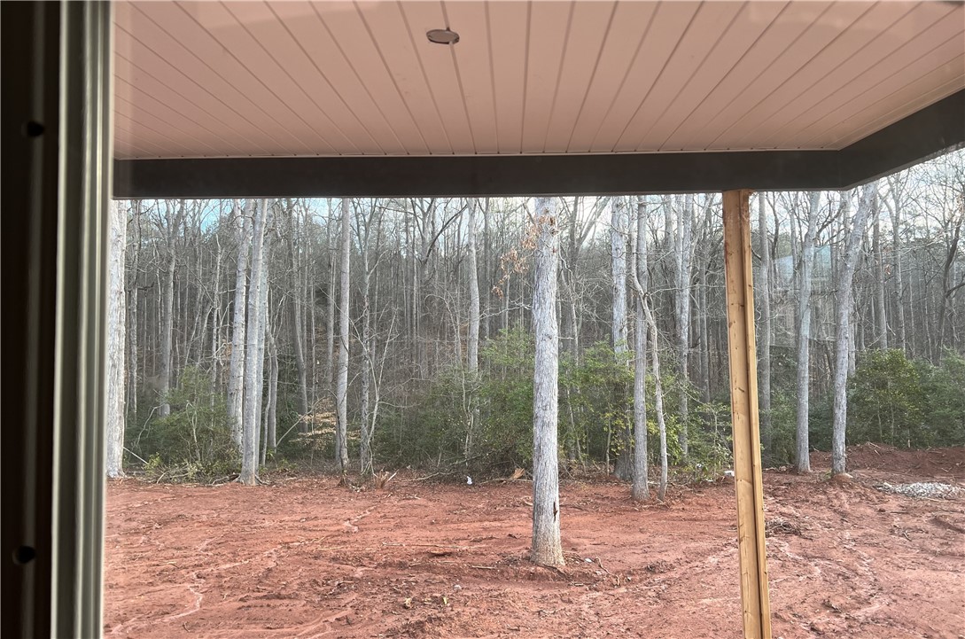 543 Lebanon Road Pendleton, SC 29670 - Photo 7 of 19 View from back porch.