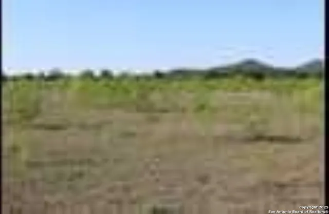 a view of the forest