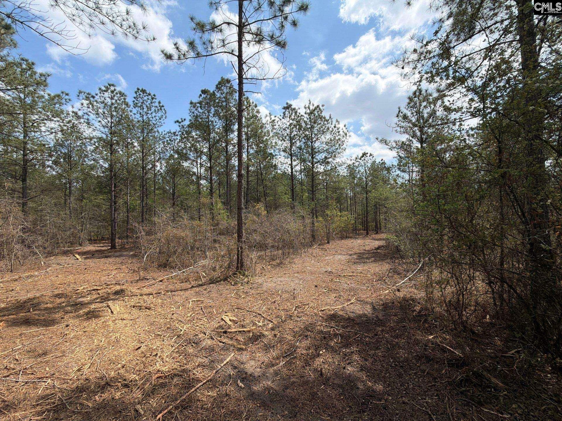 4 Mt Calvary Rd Ridge Spring Ridge Spring, SC 29129 - Photo 36 of 40