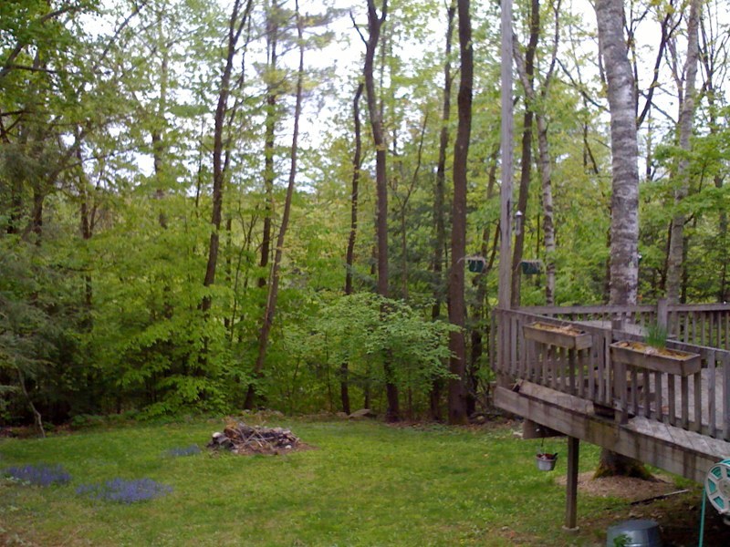 143-151 Rainbow Road Otis, MA 01029 - Photo 10 of 18 a garden view with a seating space