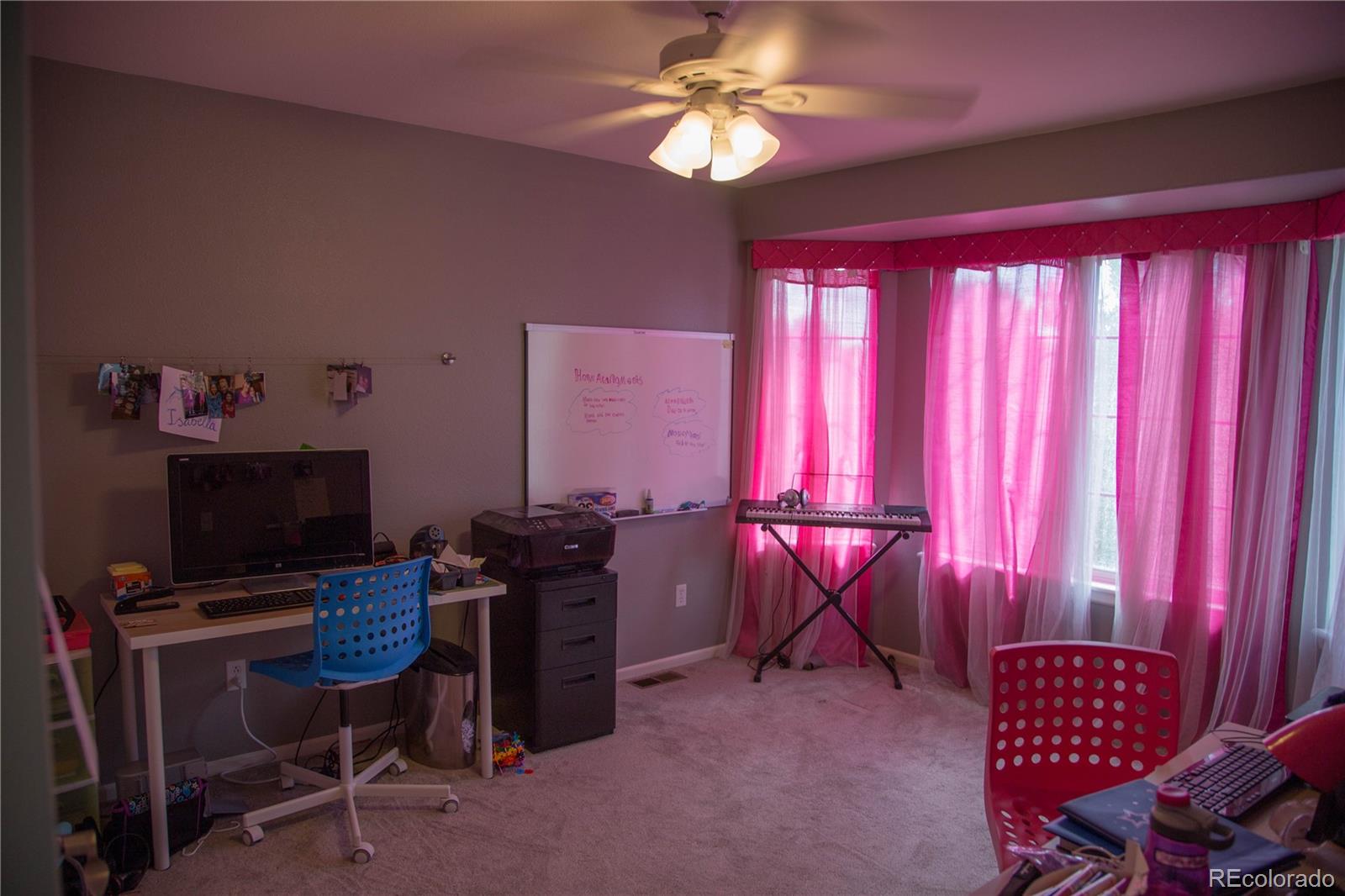 9943 Silver Maple Road Highlands Ranch, CO 80129 - Photo 11 of 19 Gallery Image 11