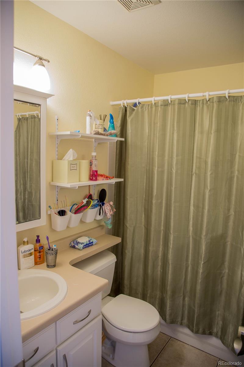 9943 Silver Maple Road Highlands Ranch, CO 80129 - Photo 15 of 19 Gallery Image 15