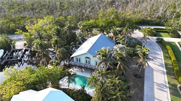 a view of a garden with plants