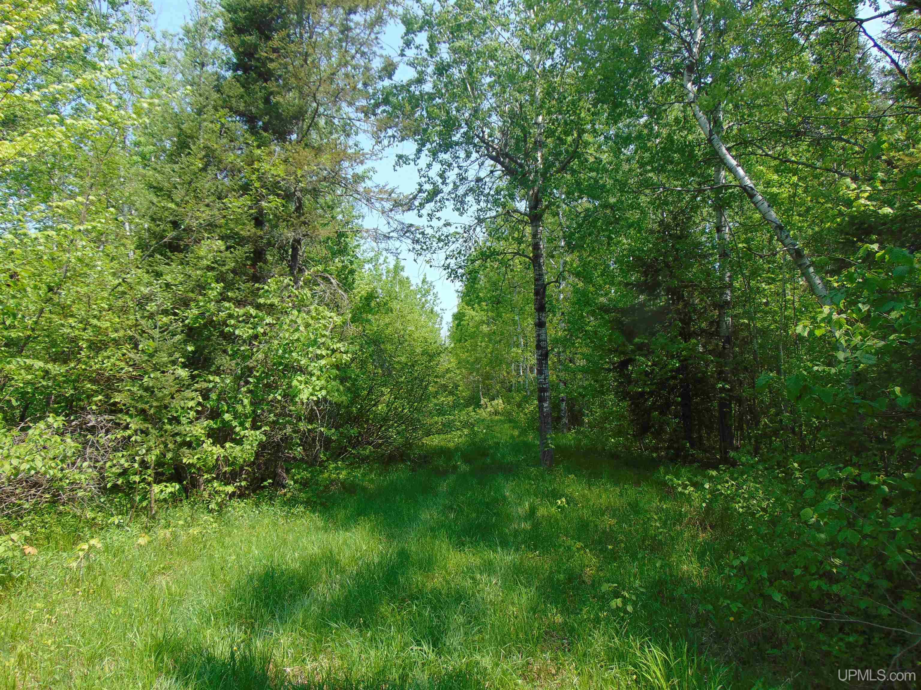1 Larson Road Bruce Crossing, MI 49912 - Photo 24 of 34