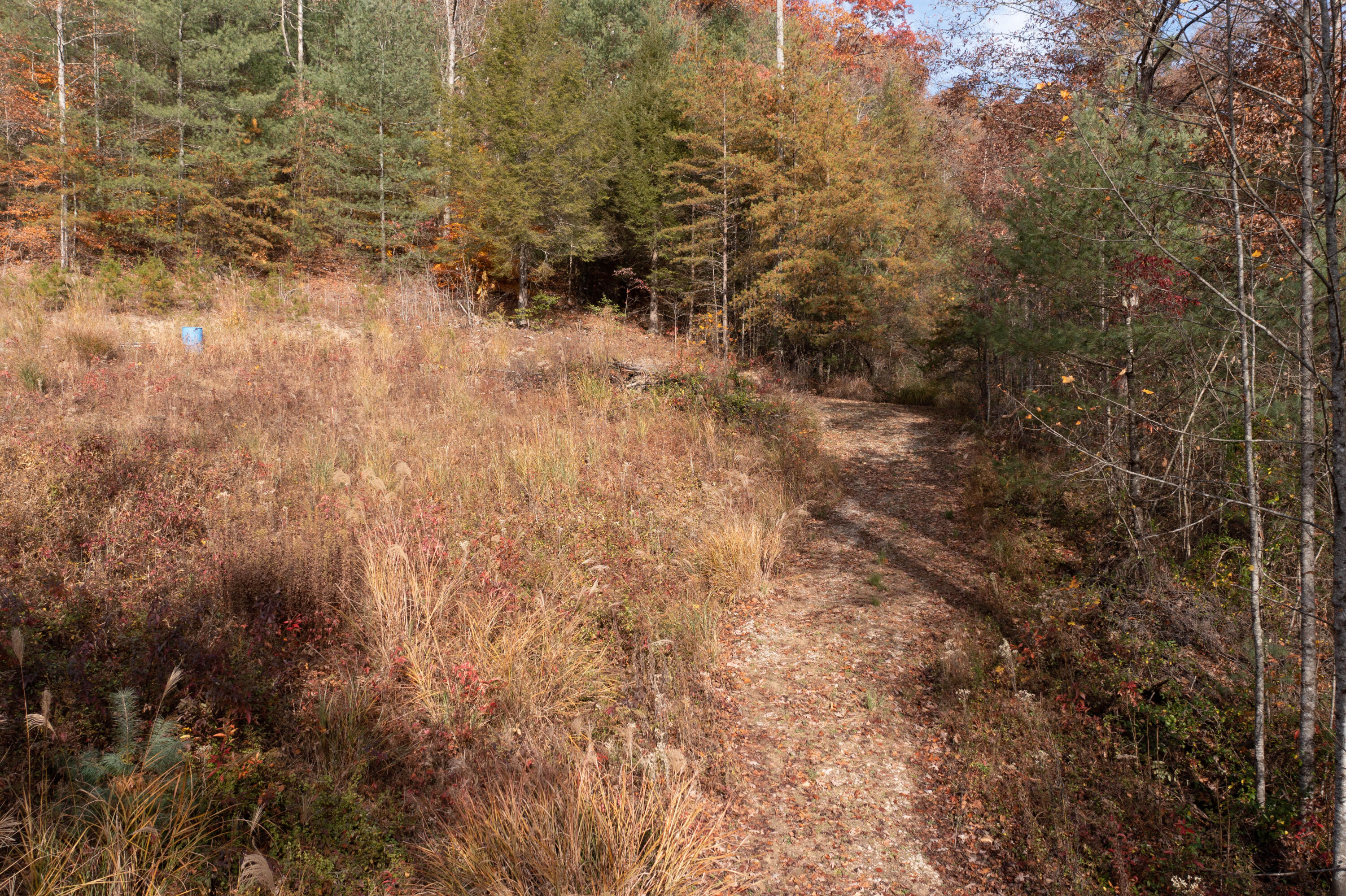 514 Adams Road Pine Ridge, KY 41360 - Photo 22 of 51 DJI_0062