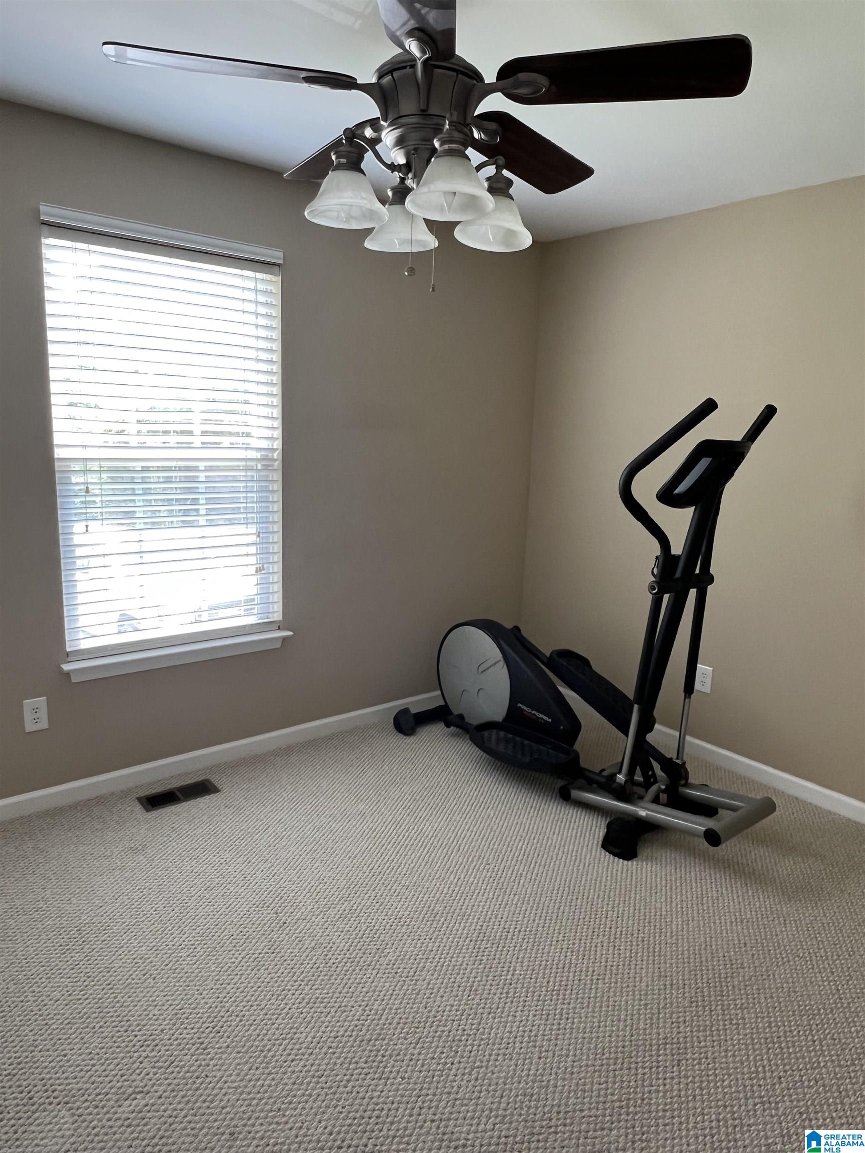 317 Wet Cat Road Hayden, AL 35079 - Photo 18 of 21