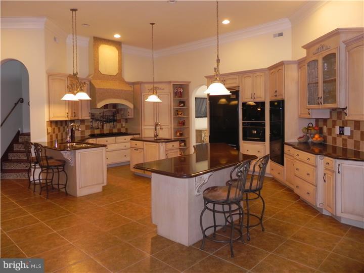 1007 Hollow Road Chester Springs, PA 19425 - Photo 2 of 24 Gallery Image 2