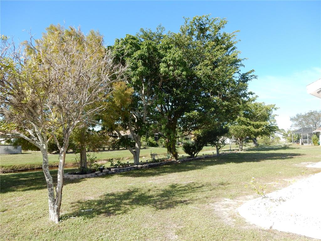 7321 Powder Puff Punta Gorda, FL 33955 - Photo 5 of 31 Nice Trees in the Backyard