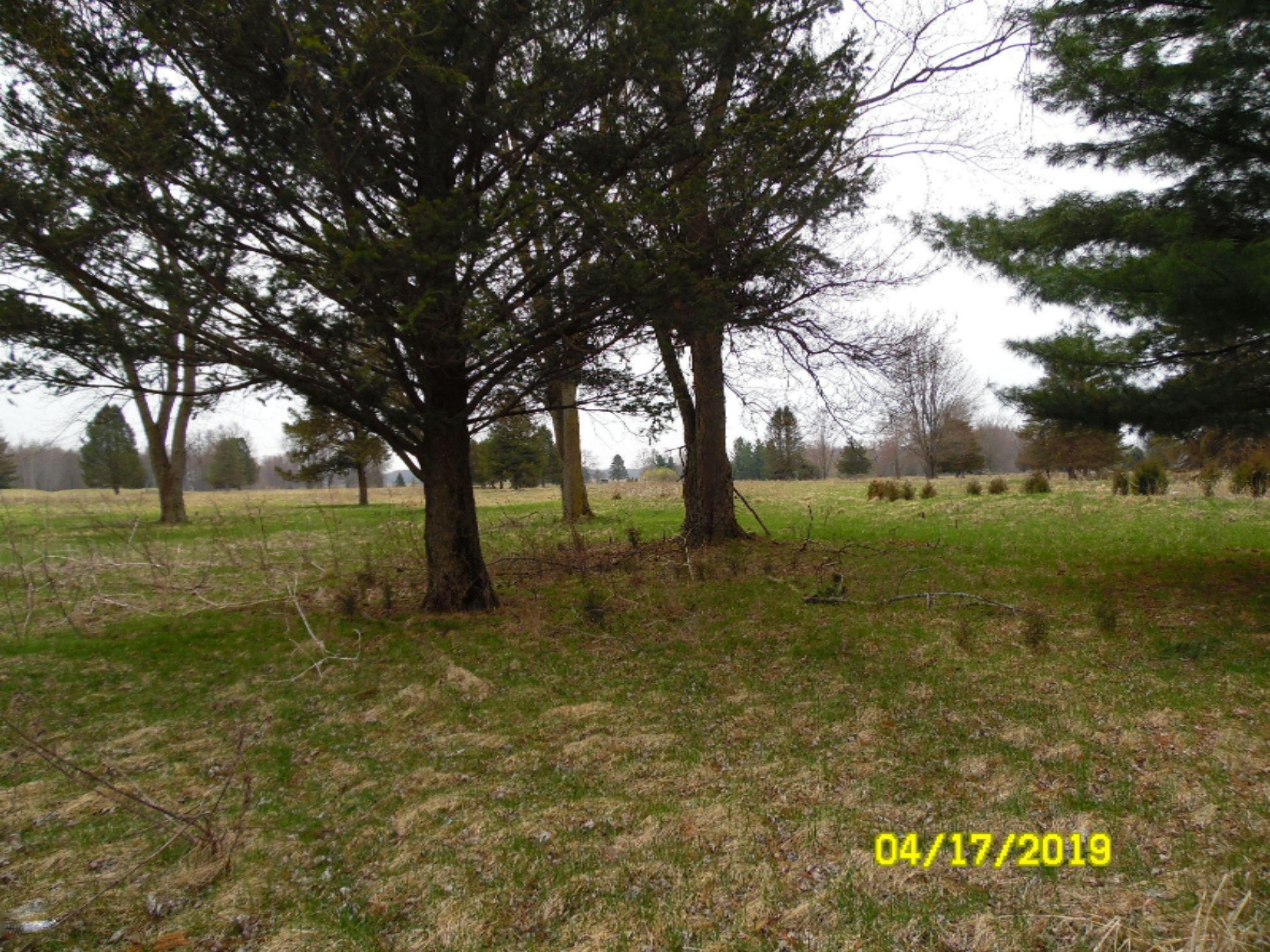 560 Prairie River Road Bronson, MI 49028 - Photo 3 of 5 SAM_7258