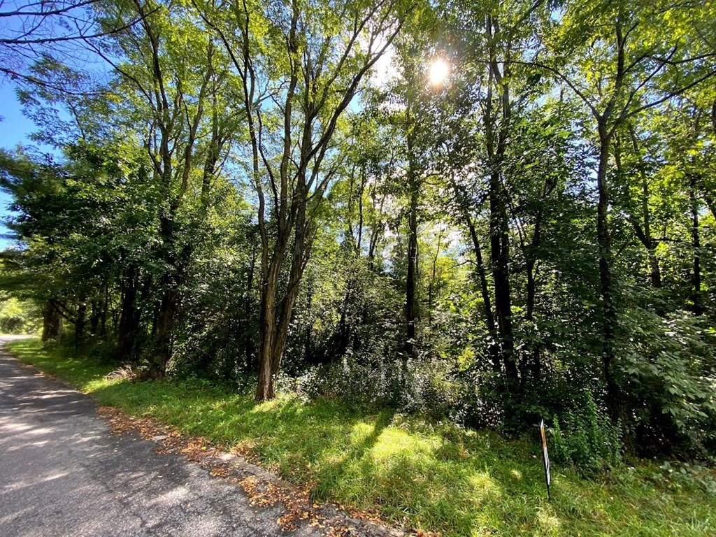 0 Millbrook Road Brimfield, MA 01010 - Photo 1 of 3 Gallery Image 1