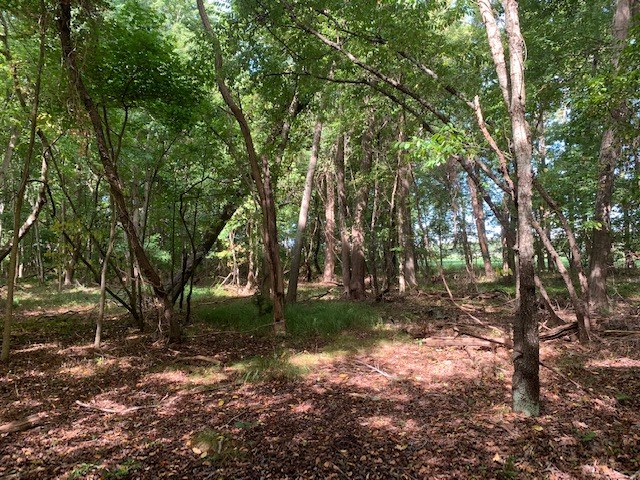 D Cheriton Cross Road, Unit D Cape Charles, VA 23310 - Photo 25 of 37