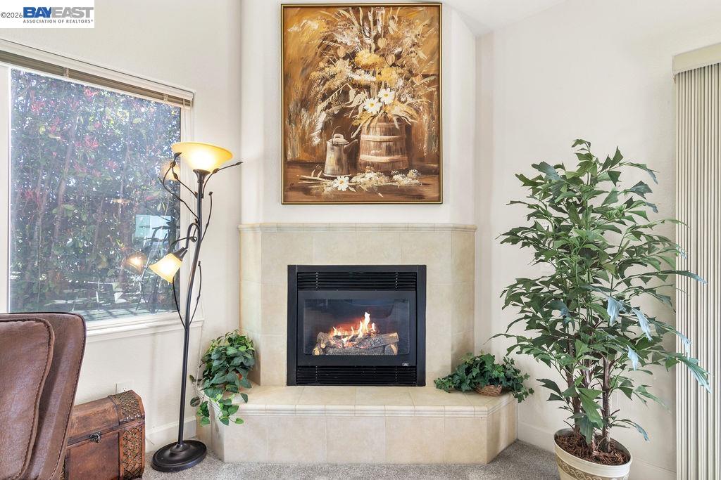 1105 Paradise Peak Road Valley Springs, CA 95252 - Photo 11 of 52 a living room with a fireplace and potted plants