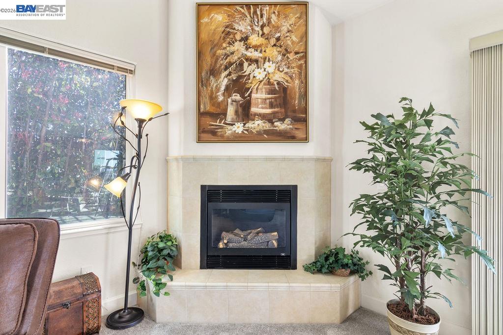 1105 Paradise Peak Road Valley Springs, CA 95252 - Photo 12 of 52 a living room with a fireplace and potted plants