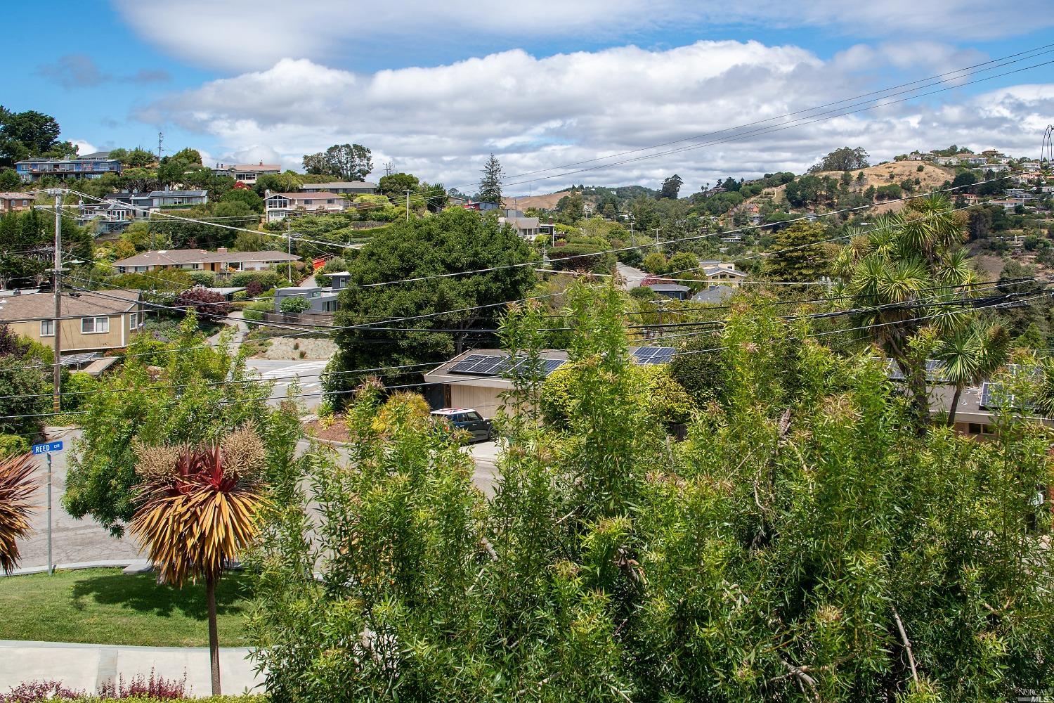 208 Reed Boulevard Mill Valley, CA 94941 - Photo 44 of 47 The views towards Strawberry are nice, too!