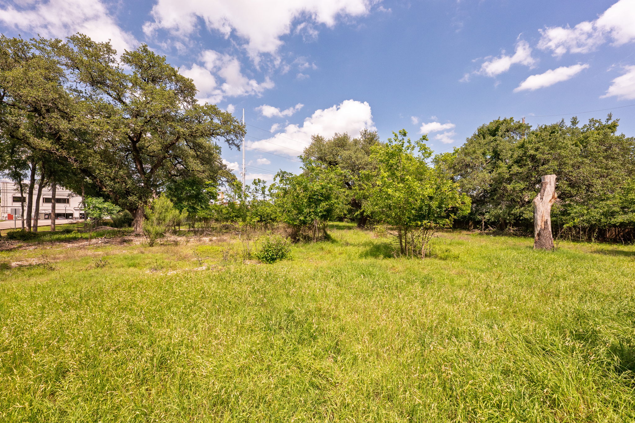 12182 Jollyville Road Austin, TX 78759 - Photo 10 of 25 Expansive grassy terrain with mature trees