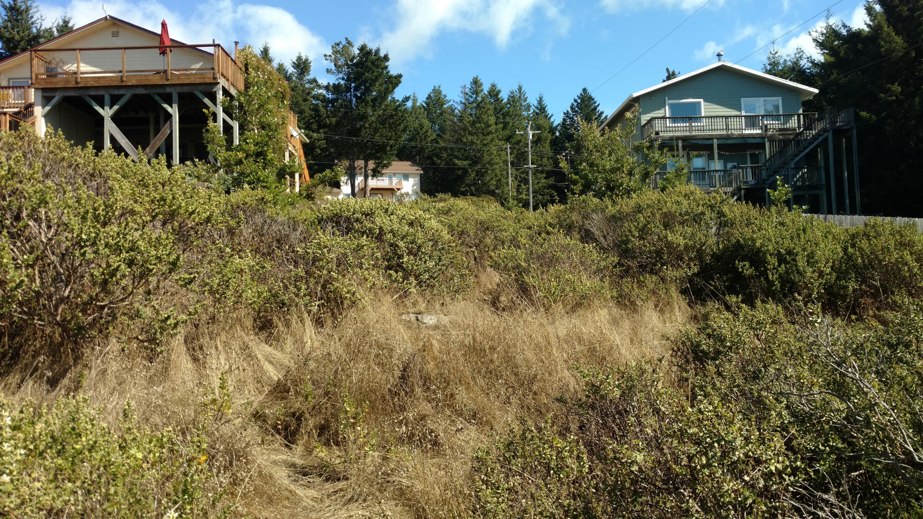 85 Shaker Road Shelter Cove, CA 95589 - Photo 4 of 5