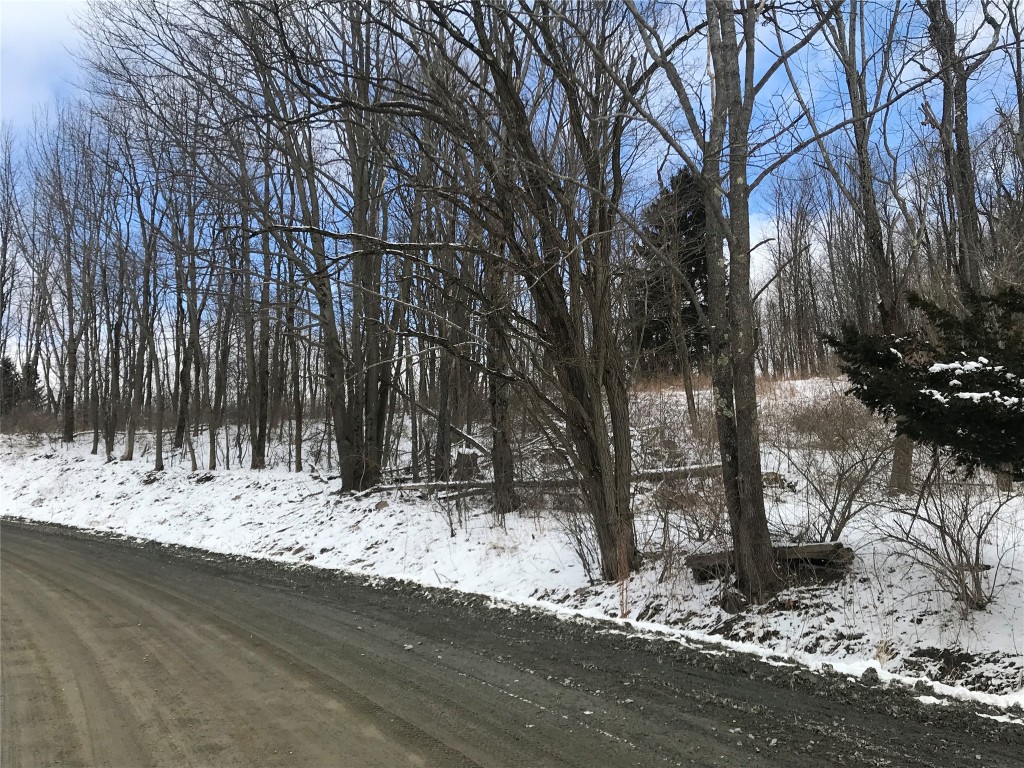 970 Anne Road Windsor, NY 13865 - Photo 13 of 41
