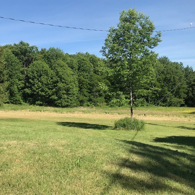 970 Anne Road Windsor, NY 13865 - Photo 5 of 41