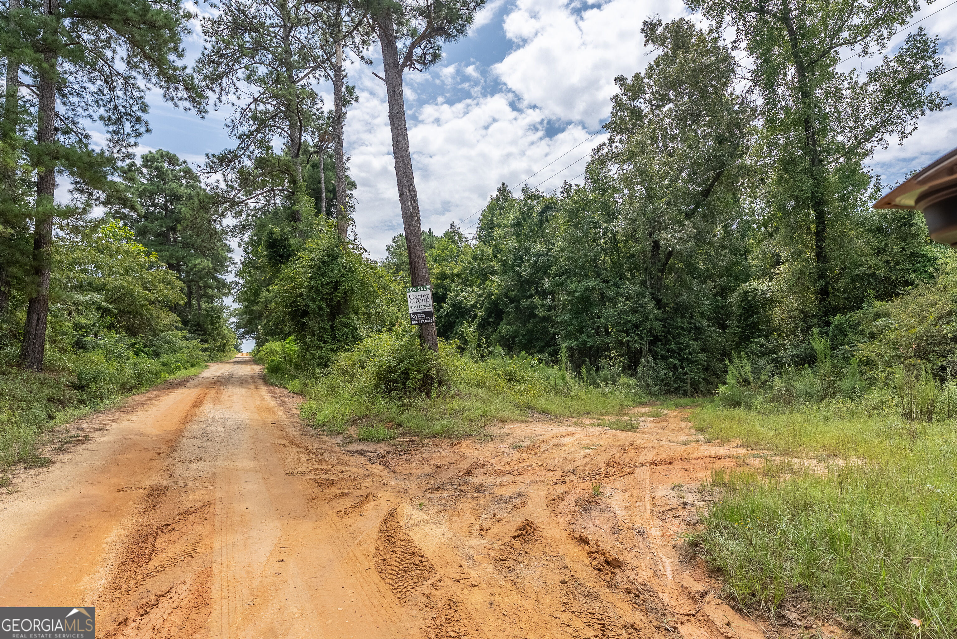 0 Nicholson-carr Road Chester, GA 31012 - Photo 24 of 54 Gallery Image 24