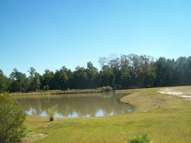 514 Amberview Loop Little River, SC 29566 - Photo 8 of 9 Gallery Image 8