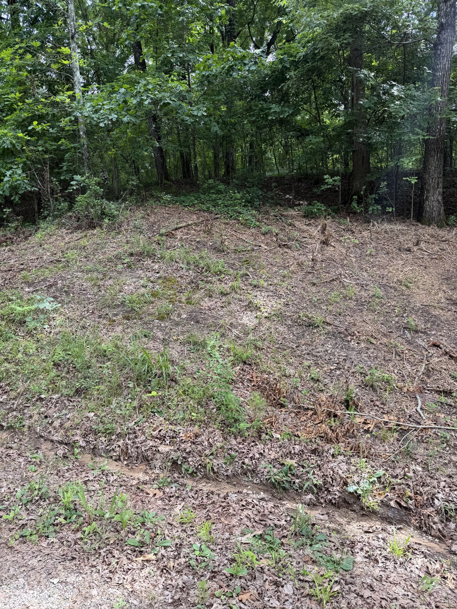 0 Highway 57 Middleton, TN 38052 - Photo 3 of 5