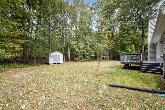 a view of a backyard with large trees