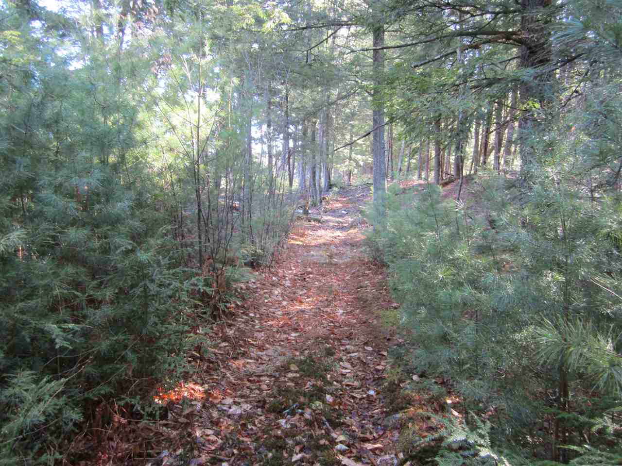 0 Turner Road Fitzwilliam, NH 03447 - Photo 4 of 6
