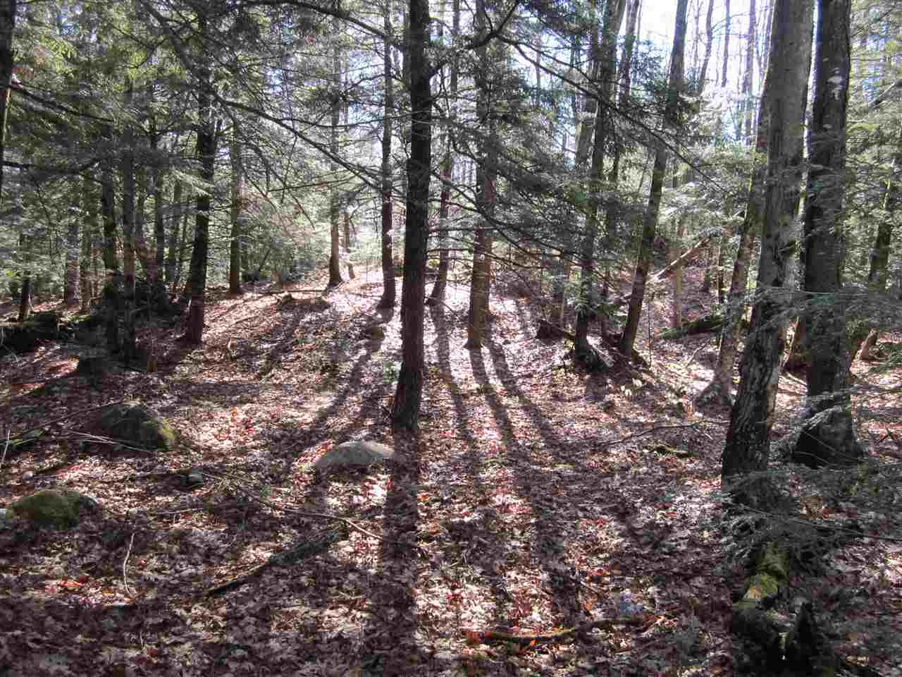 0 Turner Road Fitzwilliam, NH 03447 - Photo 5 of 6