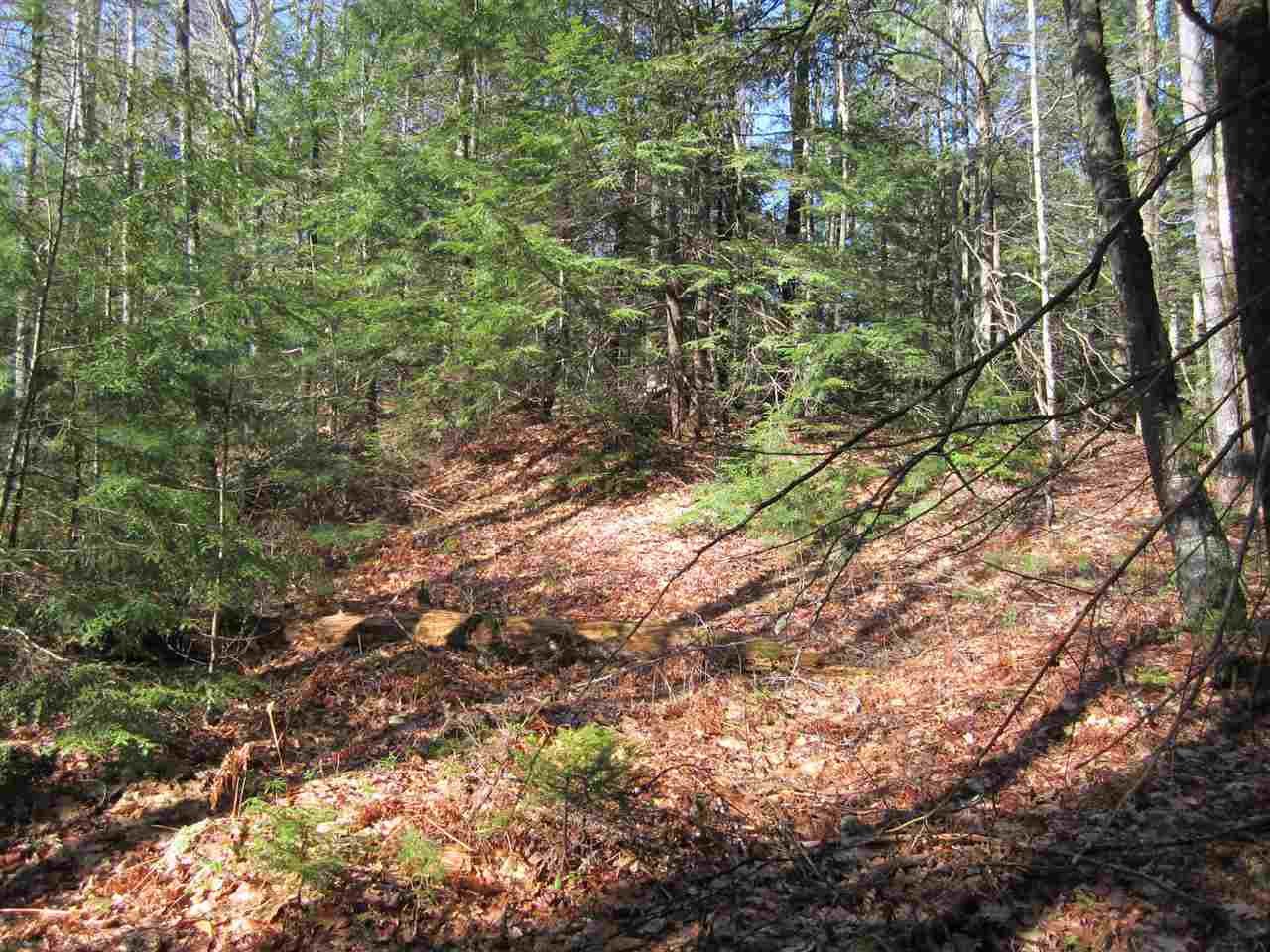 0 Turner Road Fitzwilliam, NH 03447 - Photo 6 of 6