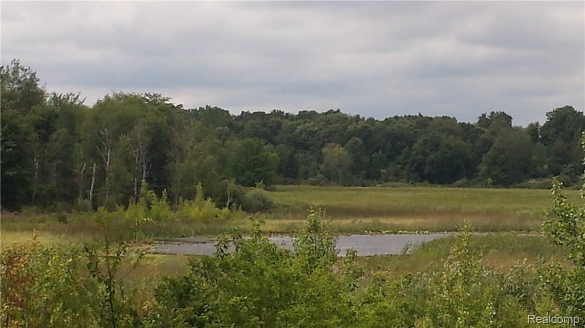 700 Wild Goose Lake Road Gregory, MI 48137 - Photo 2 of 72 INCREDIBLE VIEWS