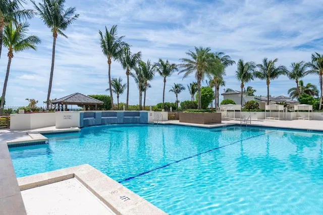 a view of a swimming pool with a lawn chairs and palm tree