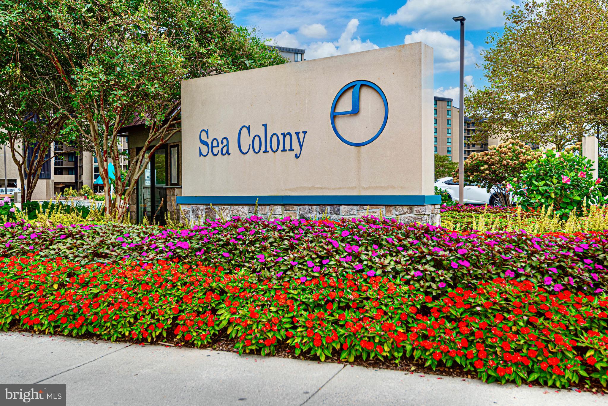 407 Harbour House, Unit 407 Bethany Beach, DE 19930 - Photo 50 of 54