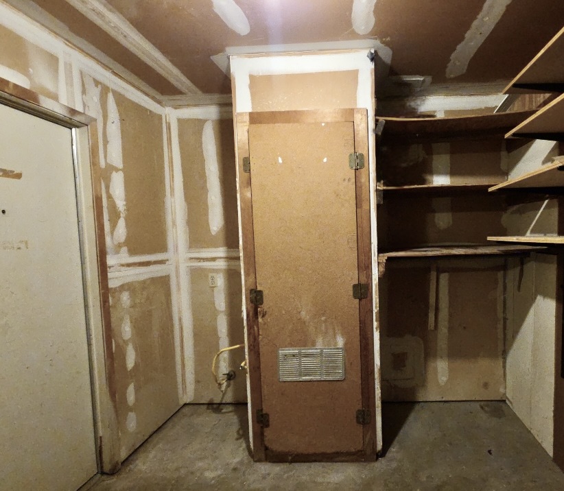 8508 Romney Road Austin, TX 78748 - Photo 19 of 21 a view of walk in closet with empty racks