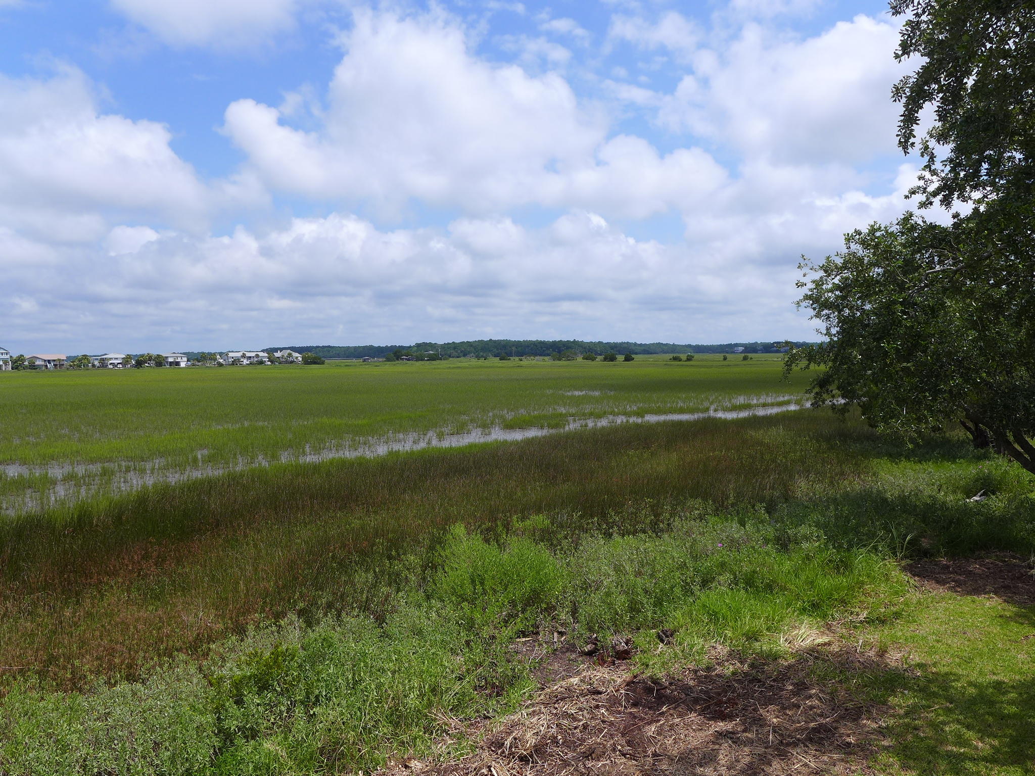 1501 Jungle Road Edisto Beach, SC 29438 - Photo 2 of 36 P1070559