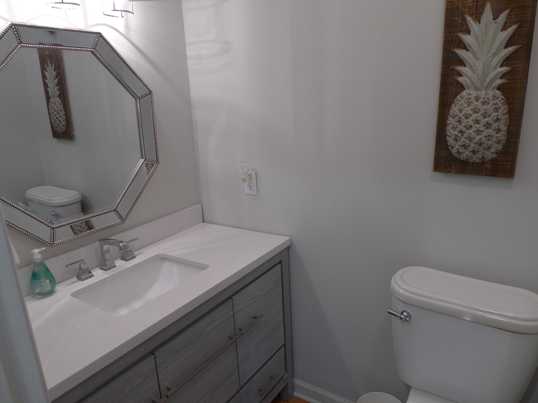 1501 Jungle Road Edisto Beach, SC 29438 - Photo 12 of 36 P1070586