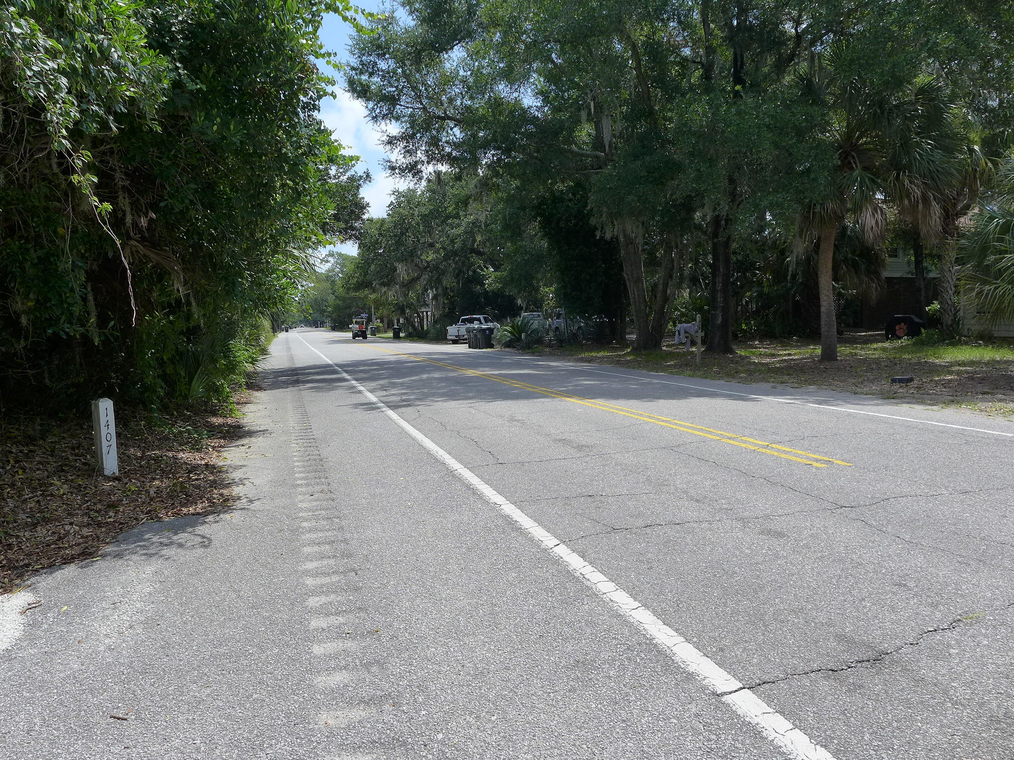 1501 Jungle Road Edisto Beach, SC 29438 - Photo 31 of 36 P1070555