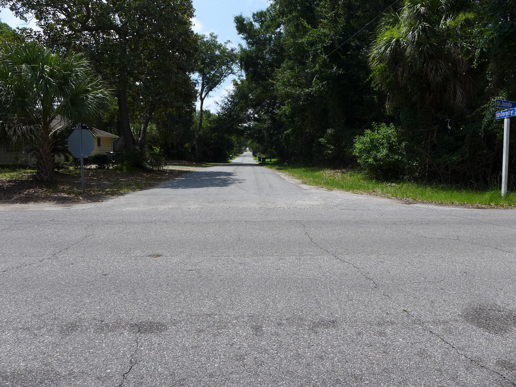 1501 Jungle Road Edisto Beach, SC 29438 - Photo 32 of 36 P1070554