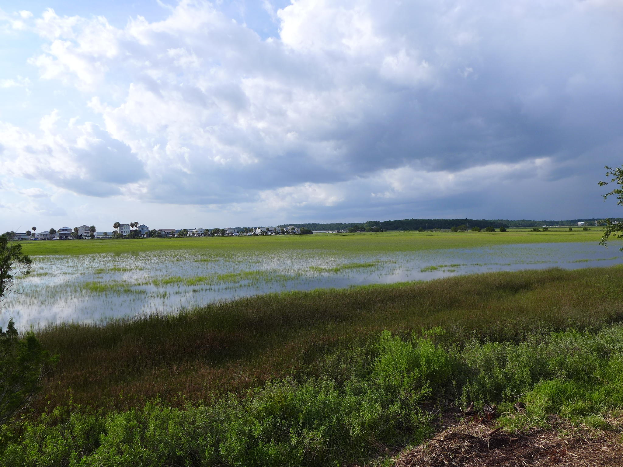 1501 Jungle Road Edisto Beach, SC 29438 - Photo 35 of 36 P1070615