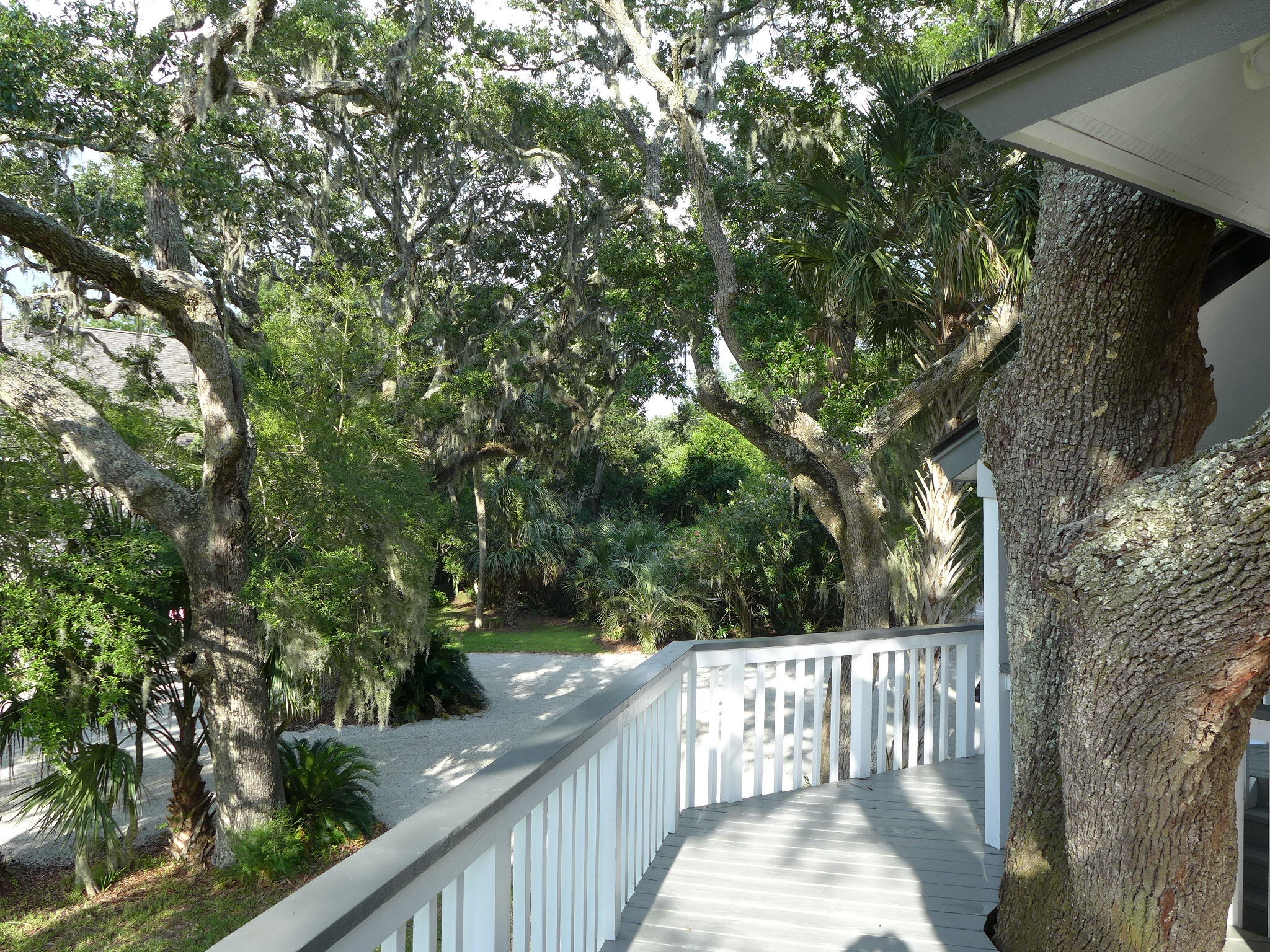1501 Jungle Road Edisto Beach, SC 29438 - Photo 36 of 36 P1070618