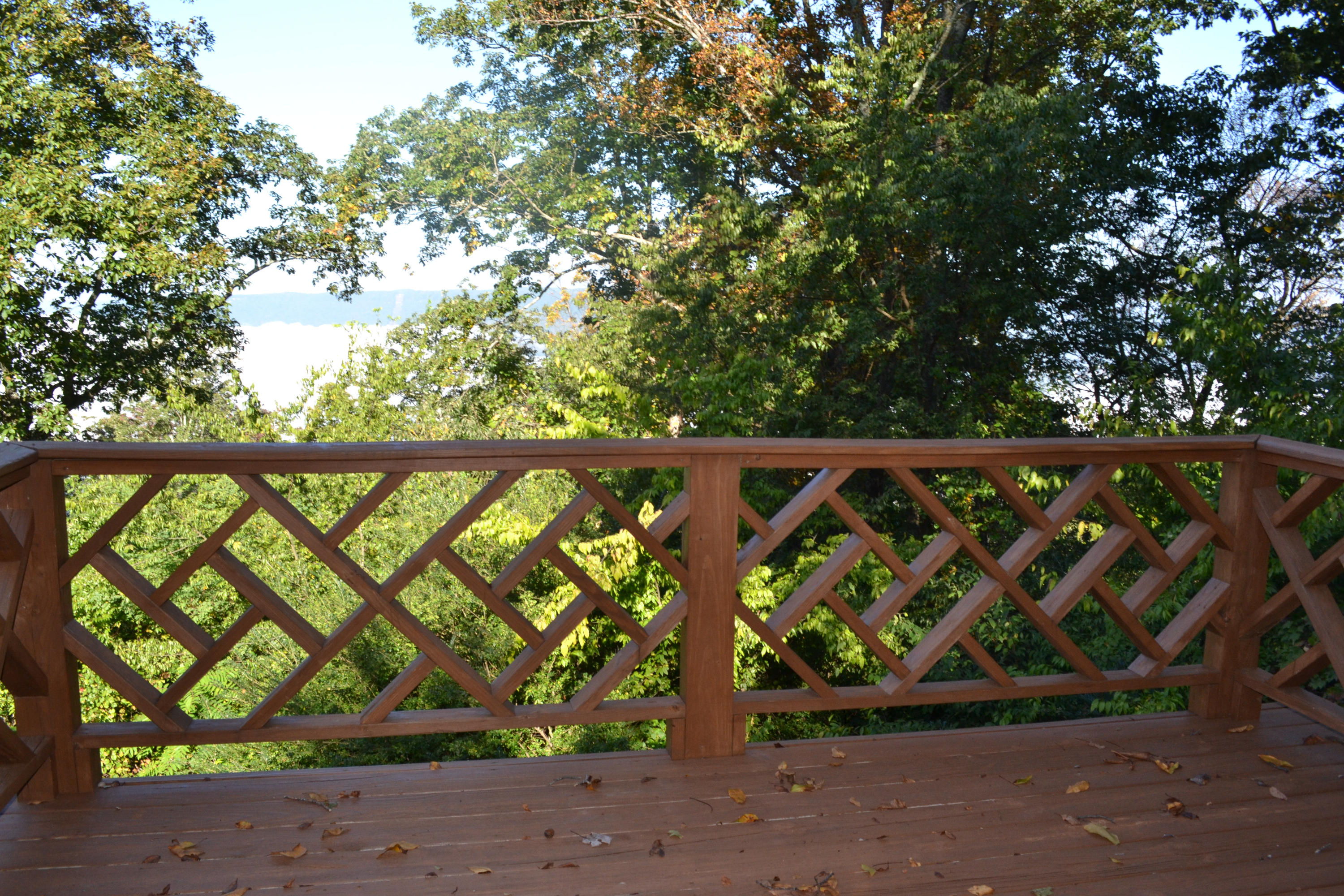 387 Apollo Road Lookout Mountain, GA 30750 - Photo 24 of 43 DSC_0681