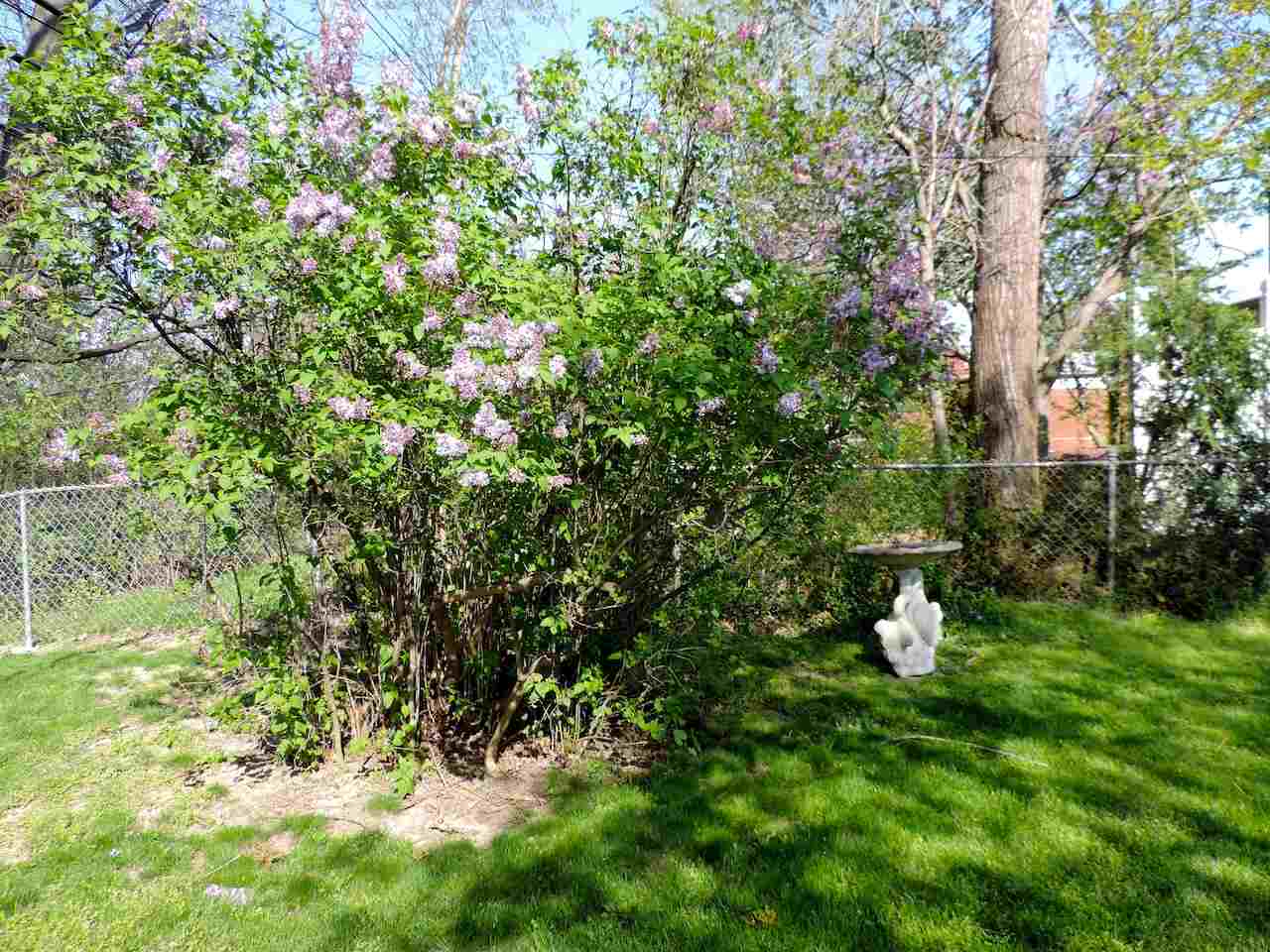 3509 Rhoten Drive Sterling Heights, MI 48310 - Photo 16 of 36 31318293-15.JPG